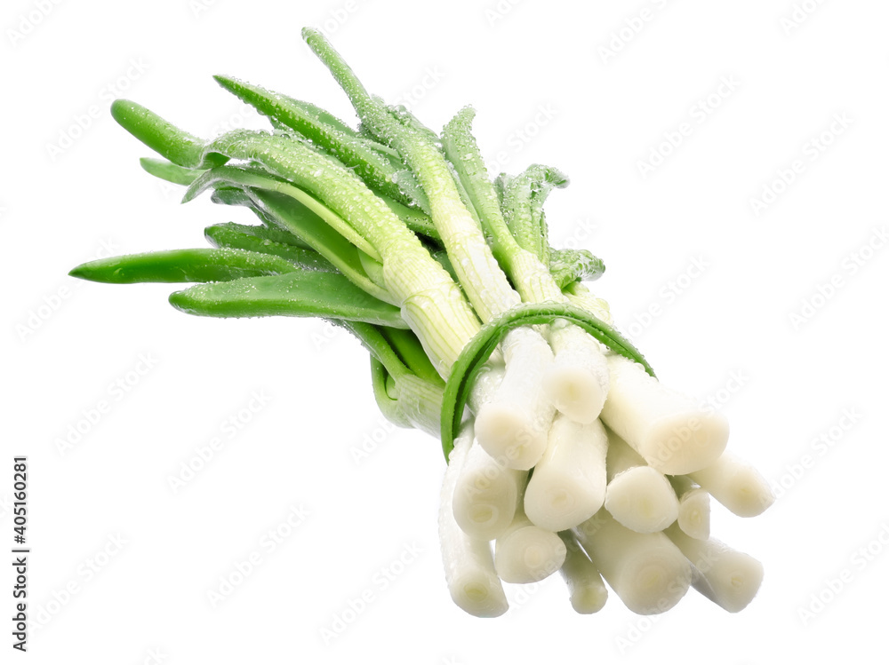 green fresh onion feathers with water drops are gathered in a bundle on a white isolated background green fresh onion feathers with water drops are gathered in a bundle on a white isolated background