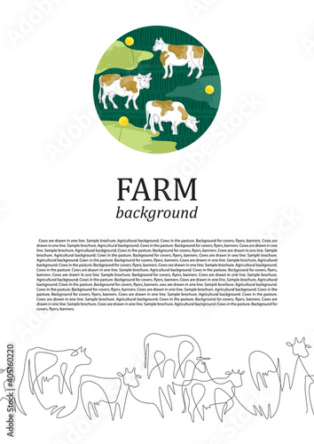 Cows are drawn in one line. Sample brochure. Agricultural background.