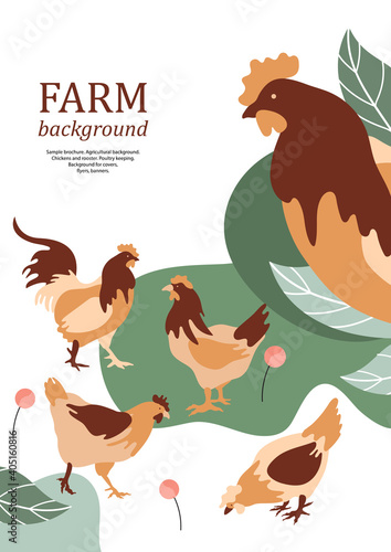 Sample brochure. Agricultural background. Chickens and rooster. Poultry keeping.