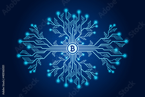Bitcoin Mining Concept, Printed Circuit Board Branches