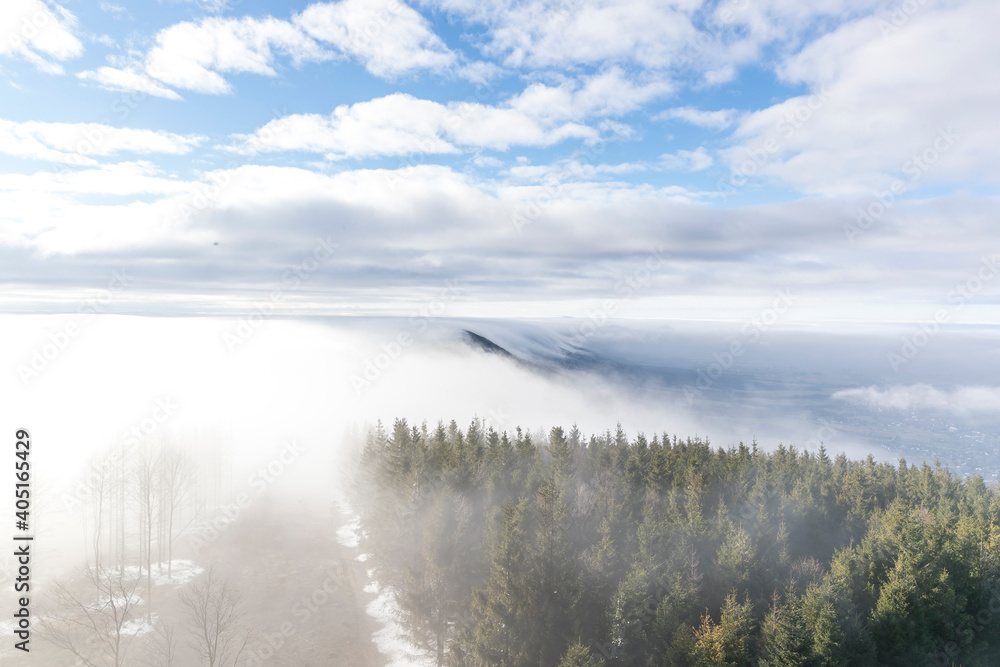 Obraz premium The tops of the hills during a sunny afternoon covered with thick fog which passes between the treetops in the background of blue sky.
