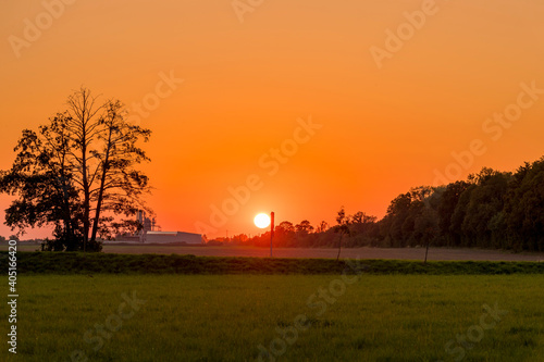 Sun on the horizon behind the main road during an afternoon test with passing cars and the sun on the horizon setting behind the trees.