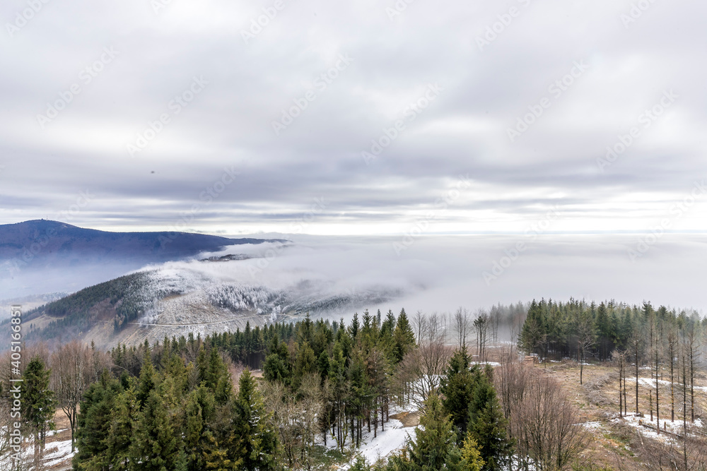 The tops of the hills during a sunny afternoon covered with thick fog which passes between the treetops in the background of blue sky.