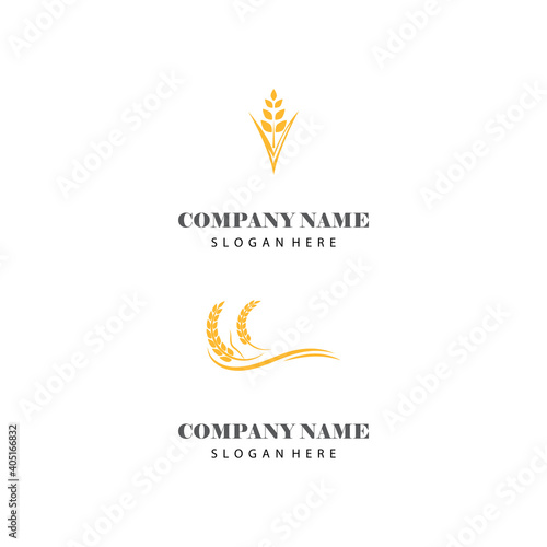 Wheat Logo Template vector symbol nature