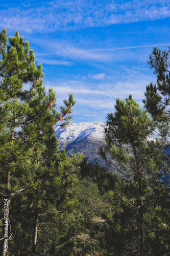 Mountain with snow between trees with blu sky, Serra da Estrela