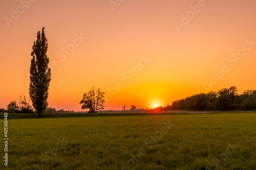 Sun on the horizon behind the main road during an afternoon test with passing cars and the sun on the horizon setting behind the trees.