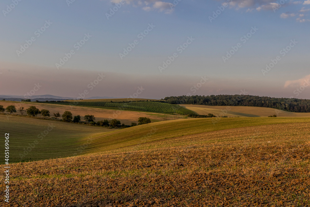 Landscape full of vineyards in the late afternoon when there are no clouds and only the colors on the horizon change and the sun shines through the landscape.