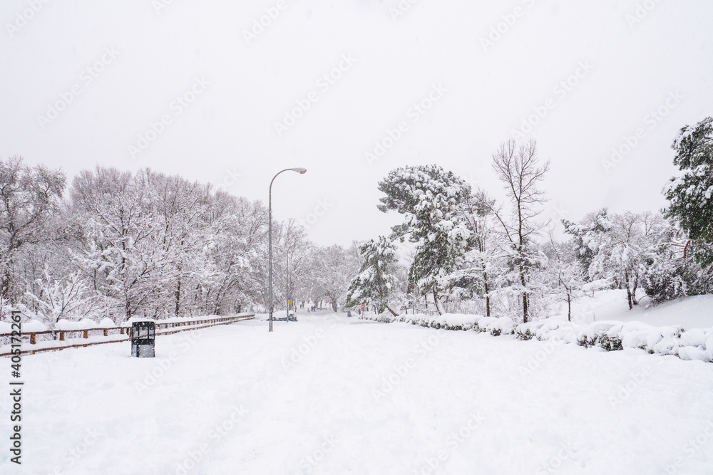Snow-covered street in the “Casa de Campo” park in Madrid, with trees around. Snowing during the “Filomena” storm. Snow-covered street in the “Casa de Campo” park in Madrid, with trees around. Snowing during the “Filomena” storm.