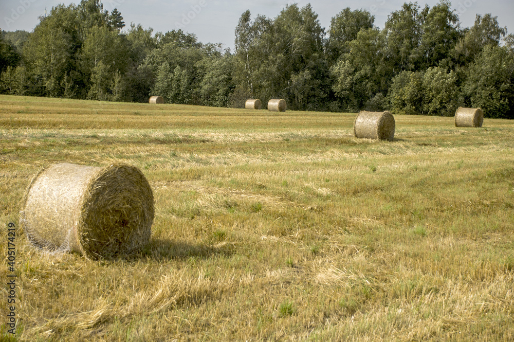 Autumn harvesting of hay in bales