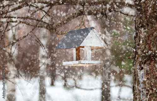 Bird feeders of handmade on tree trunk in park. Homemade grain feeder for wintering birds © Елена Жуковская