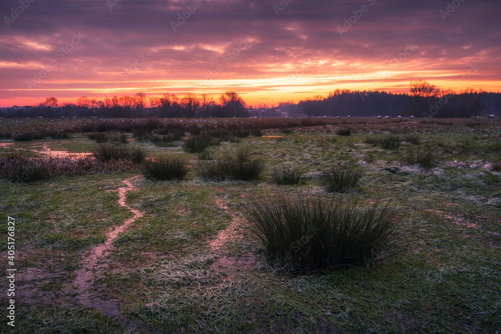 Dawn on the backwaters of the Jeziorka river on a frosty morning near Piaseczno, Masovia, Poland
