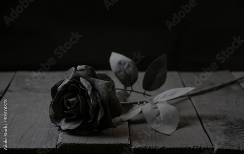 A black rose lies on a black background