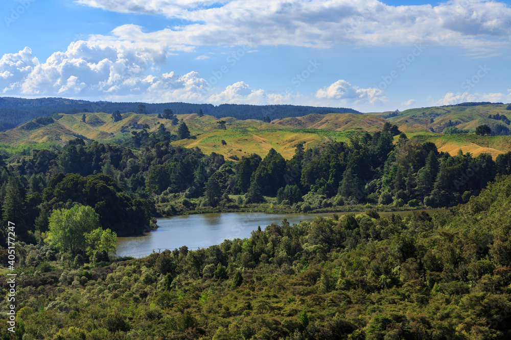 Lake Ngahewa, a small lake and wetland area close to Rotorua, New Zealand