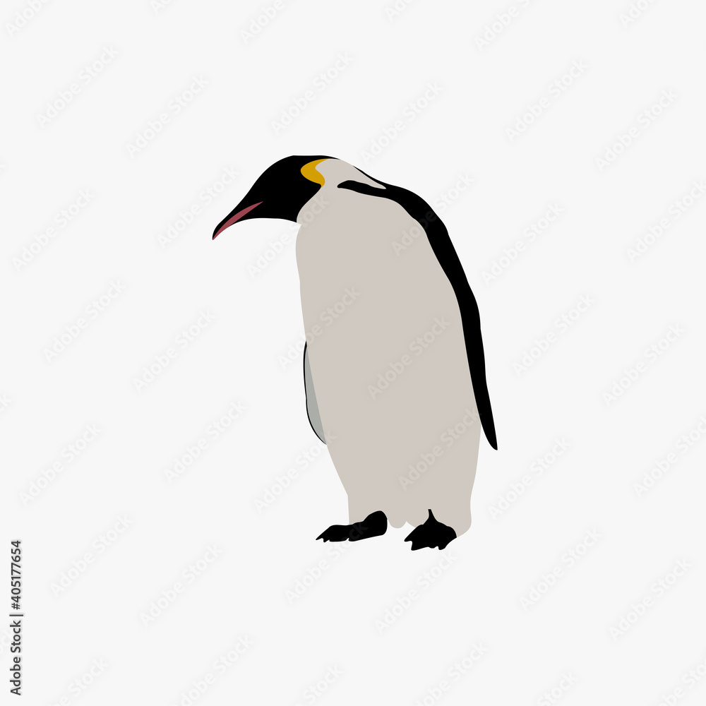 Fototapeta premium Basic RGB