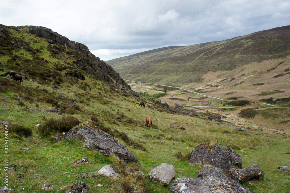 Cloudy spring day in the mountains of Cooley Peninsula, Ireland.	