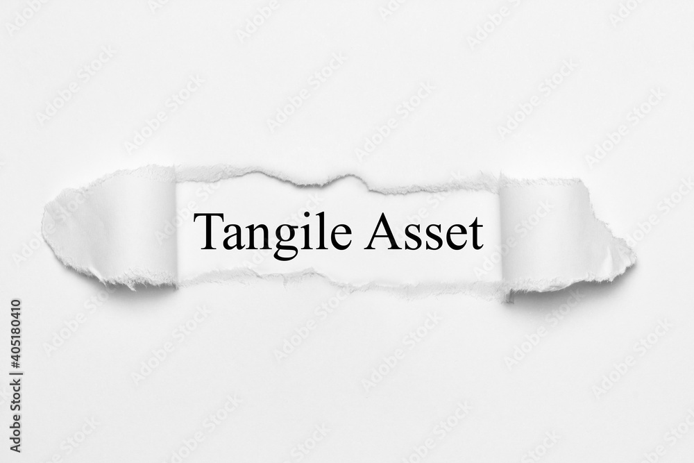 Tangile Asset 