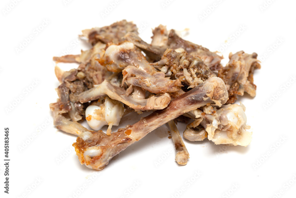 bone chicken on a white background bone chicken on a white background