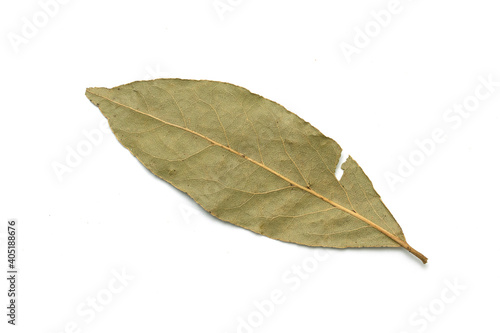Dried laurel leaves on a white isolated background.