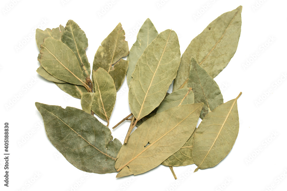 Dried laurel leaves on a white isolated background. Dried laurel leaves on a white isolated background.