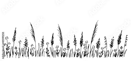 Hand-drawn simple vector sketch in black outline. Wild meadow grasses, wildflowers, spikelets, panicle inflorescences. Lawn, herbal plants, long banner.