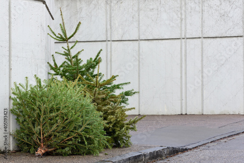 In winter, after Christmas, there are three used and old Christmas trees on the street, leaning against a concrete wall that forms a background for text.