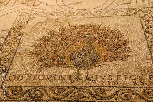 Nice close-up view of a Paleochristian mosaic floor with a beautifully intricate and colorful peacock emblem, symbolising immortality, in the Crypt of Santa Reparata beneath the Cathedral of Florence. photo