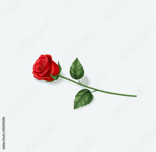 Realistic red rose on white background. Vector illustration EPS 10