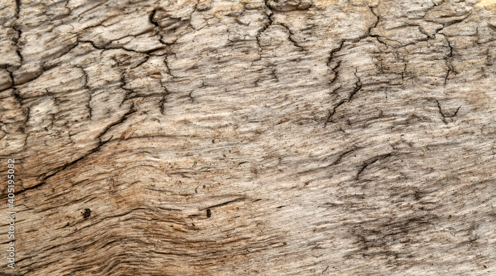 background old wood texture wood rotten dry background old wood texture wood rotten dry