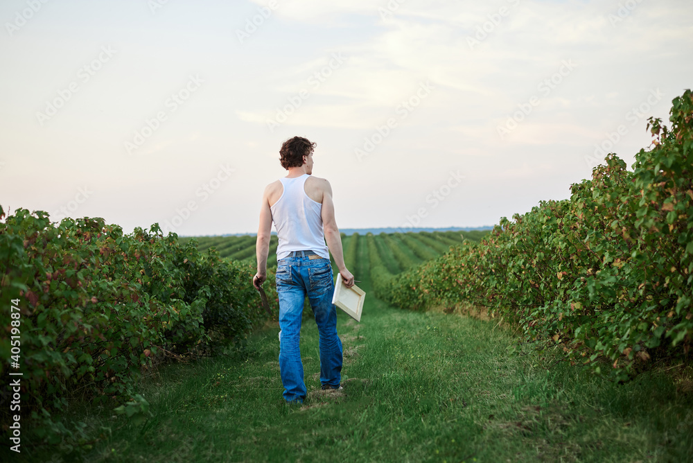 Young male artist, wearing torn jeans and white t-shirt, walking on green field during sunset, holding canvas and palette thinking. Painting workshop in countryside. Artistic education concept.