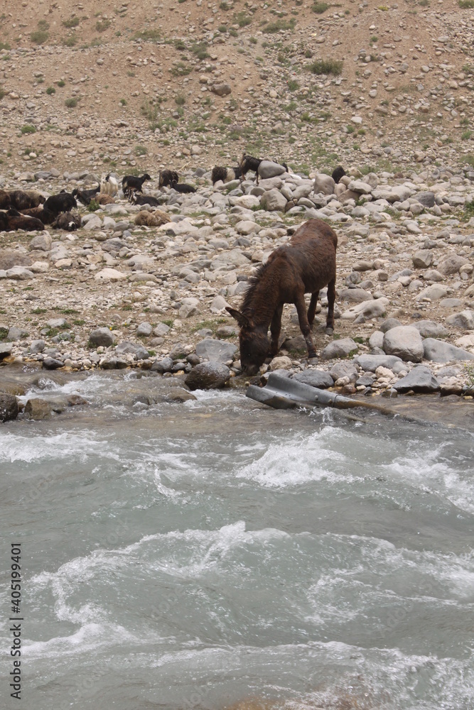 Fototapeta premium waves and rocks