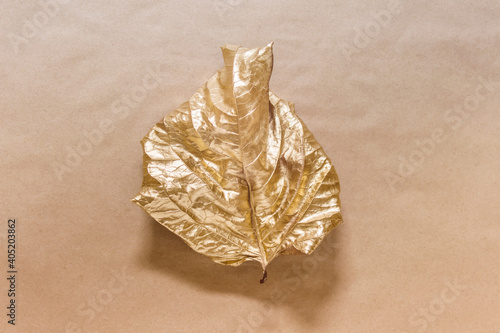 Creative composition with single one leaf dyed with golden metallic color on kraft paper background.