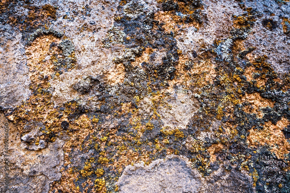 Multi-colored mold texture on the stones Multi-colored mold texture on the stones