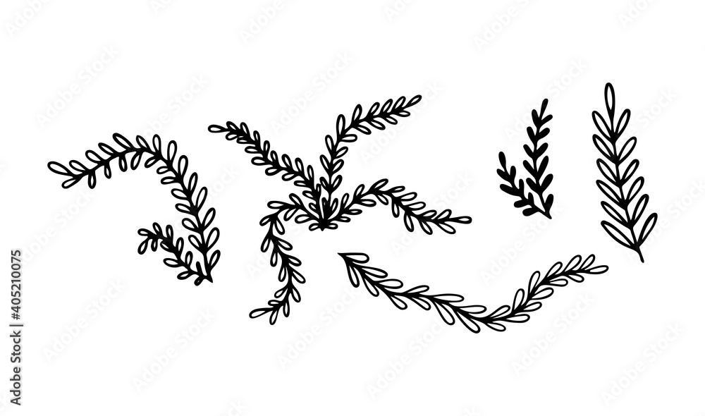 Tropic grass, leaf stylized vector illustration. Doodle illustration. Leaves of palm tree rainforest isolated on white background. Tropic grass, leaf stylized vector illustration. Doodle illustration. Leaves of palm tree rainforest isolated on white background.