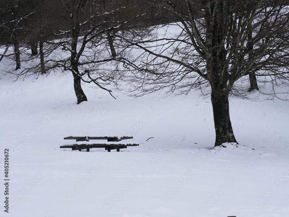 view of a snowed park with a table and bench