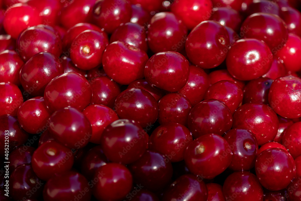 Background or texture of freshly picked red cherries. Various shades of red. Natural vitamins. Natural background. Background or texture of freshly picked red cherries. Various shades of red. Natural vitamins. Natural background.
