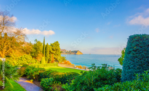 Green lawns with trees near the sea.