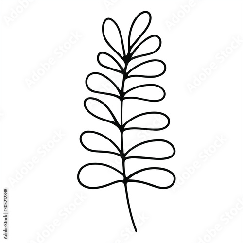 simple drawing of a twig illustration for coloring. Elemet from the doodle style set. romance, spring or valentine's day. vector illustration isolated on white background