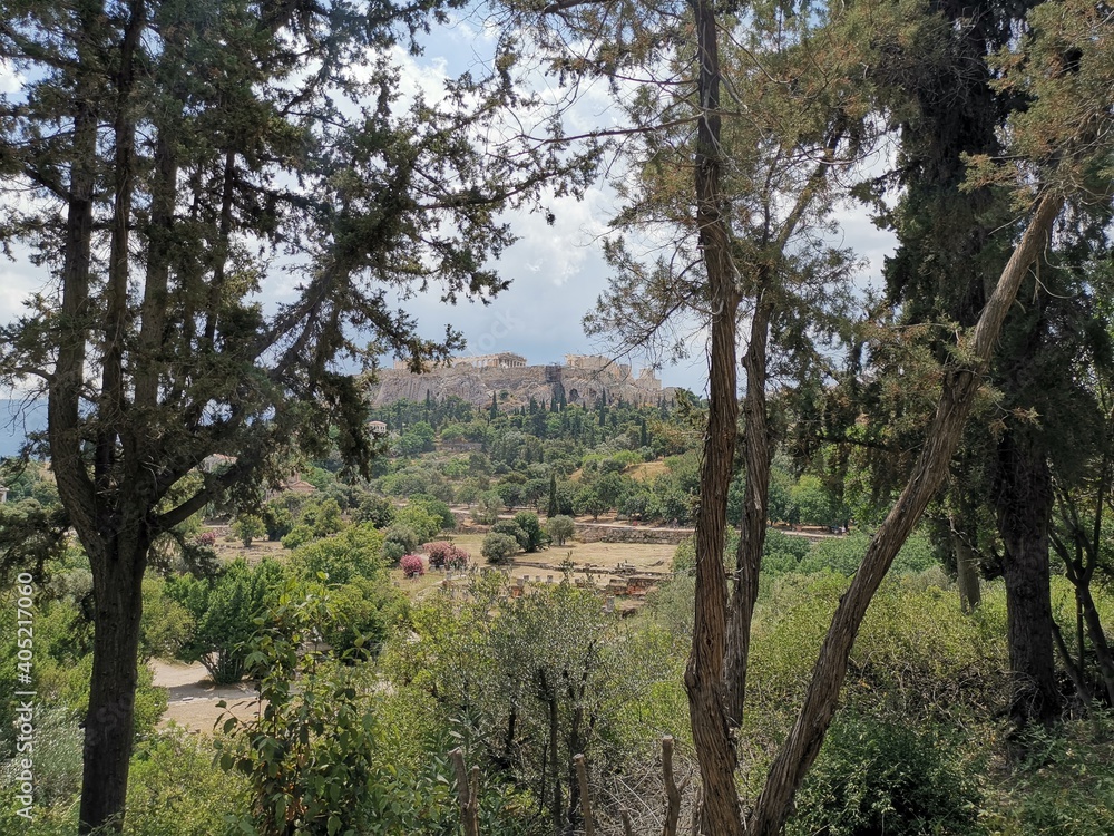 Paisaje  en grecia con árboles