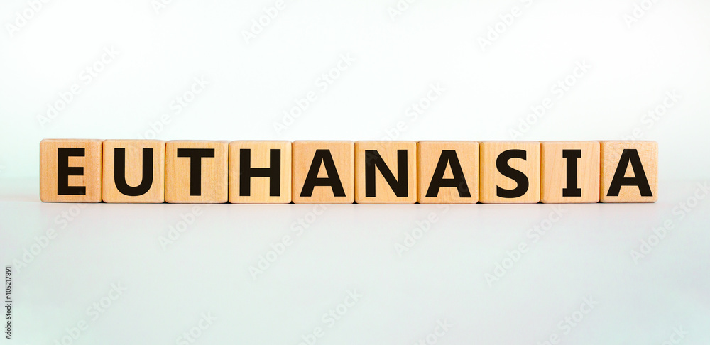Euthanasia symbol. Wooden cubes with the word 'Euthanasia'. Medical and euthanasia concept. Beautiful white background, copy space. Euthanasia symbol. Wooden cubes with the word 'Euthanasia'. Medical and euthanasia concept. Beautiful white background, copy space.
