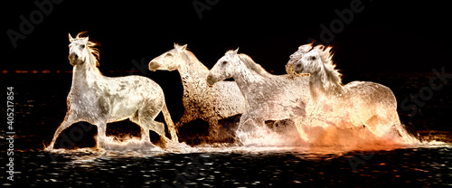 Foto White horses running through water - abstract background banner image