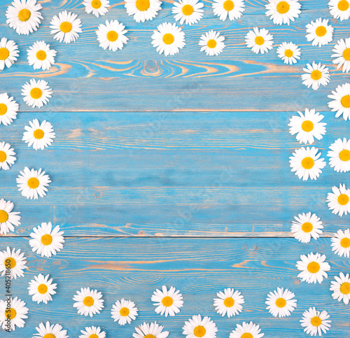 Frame made of chamomile on a wooden background © Andrey_Lobachev