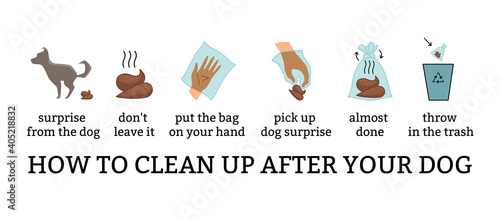 Dog poo clean up steps infographic set. Vector poster about hygiene animal, toilet cleaning information after your dog step by step. Picking waste in canine bag and throw in the trash