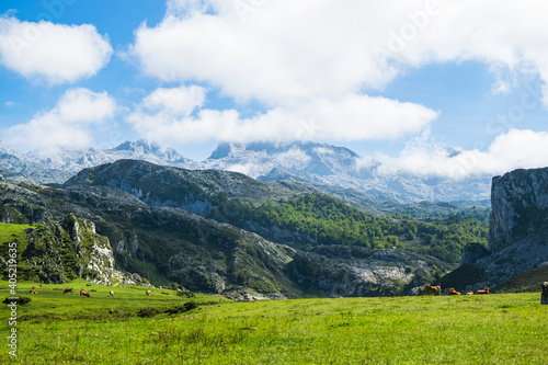 View of the highest peaks in the Picos de Europa natural park, en route to the Covadonga Lakes with low clouds. Photograph taken in Asturias, Spain.
