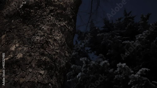Clear wooden pillars and weakly falling snow in the dark evening
