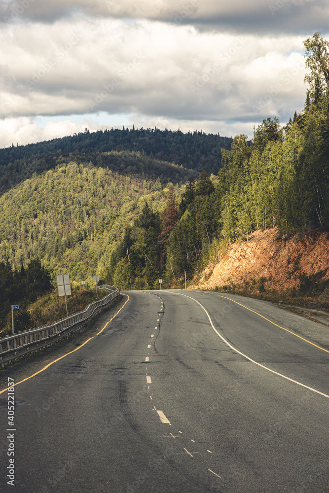 Naklejka premium Mountain road among hills and evergreen forests on a sunny summer day