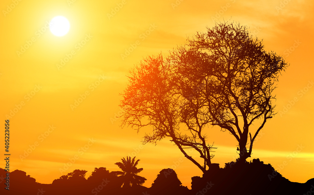 Silhouette of the sun shines on the trees in a yellow background with copy space.
