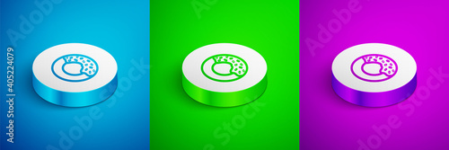 Isometric line Donut with sweet glaze icon isolated on blue,green and purple background. White circle button. Vector.
