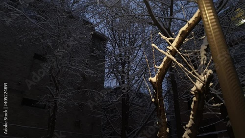 Lampposts and snow in the park