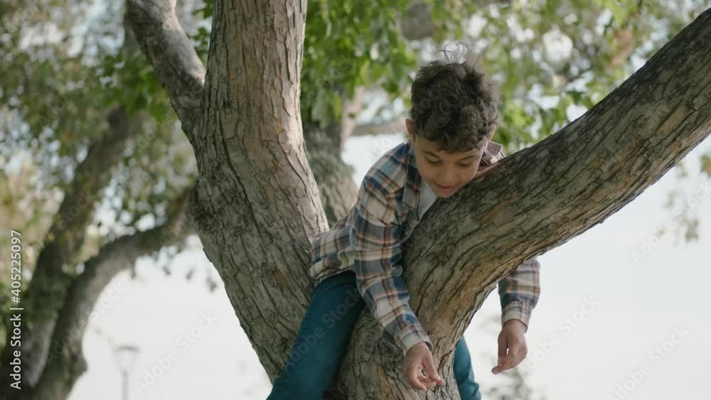Little boy climbed on a tree branch, fooling around and laughing Little boy climbed on a tree branch, fooling around and laughing