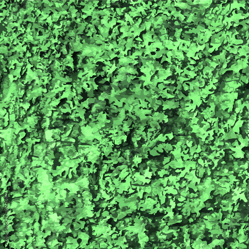 Thuja tree seamless pattern background vector image